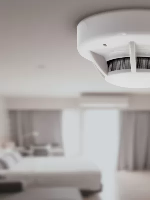 Adobe Stock 541662470