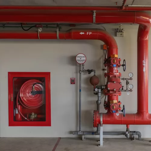 Adobe Stock 1218284304